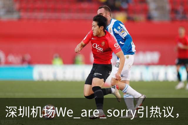深圳机场We are sorry引热议，网友：sorry听800遍了